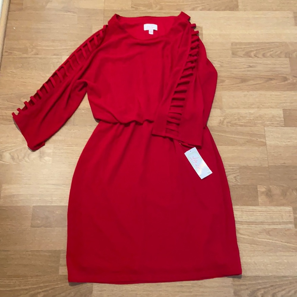 NWT Ivy Lane Red Dress Small